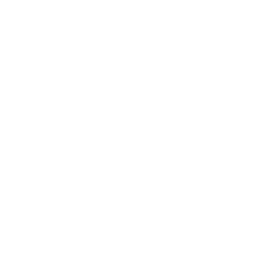 Joy Riders Logo